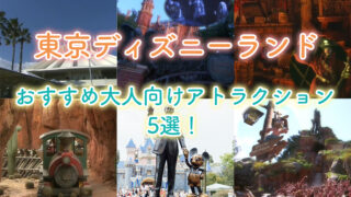 大人も夢中！東京ディズニーランドのおすすめ大人向けアトラクション5選！ 