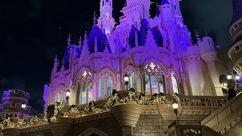 東京ディズニーリゾート旅行の計画から準備、インパ直前までを解説【TDRを快適に過ごす】その1