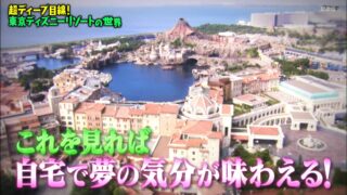 【マツコの知らない世界～東京ディズニーリゾート～】をご紹介！ゲスト：風間俊介さん 
